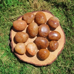 May include: A collection of 12 tumbled citrine stones, each with a unique shape and size. The stones are a light brown color with a translucent quality. They are arranged on a wooden surface.