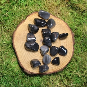 Cradle of Human Kind Tumbled Medium