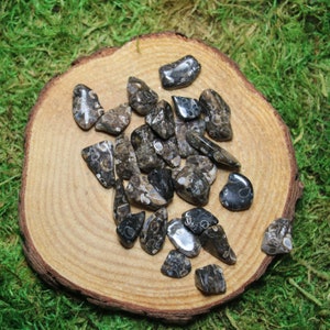 May include: A collection of tumbled black and white agate stones with a swirling pattern. The stones are arranged on a wooden surface.