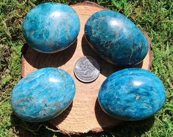 May include: Four smooth, oval-shaped blue apatite stones, each with a unique pattern of striations, are arranged on a wooden surface. A US quarter is included for scale.