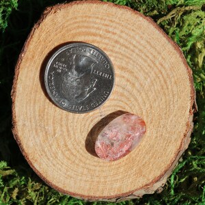 May include: A pink and red crystal with a white background. The crystal is about the size of a US quarter.