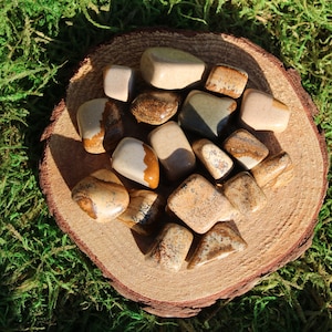 May include: A collection of tumbled brown, beige, and white jasper stones with brown and black markings. The stones are arranged on a wooden surface.