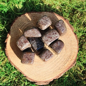 May include: A collection of tumbled leopard skin jasper stones in various shades of brown and white. The stones are arranged on a wooden slice, surrounded by green moss.