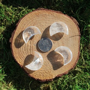 May include: Four clear quartz crystal crescent moon shapes on a wooden surface. The crystals are approximately the size of a US quarter.