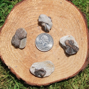 Staurolite Fairy Cross Single A-I