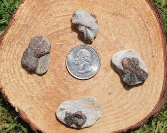 Staurolite Fairy Cross Single A-I