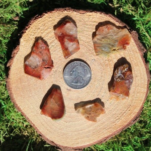 Red Orange Amphibole in Quartz Free Form Polished Slices #A-R