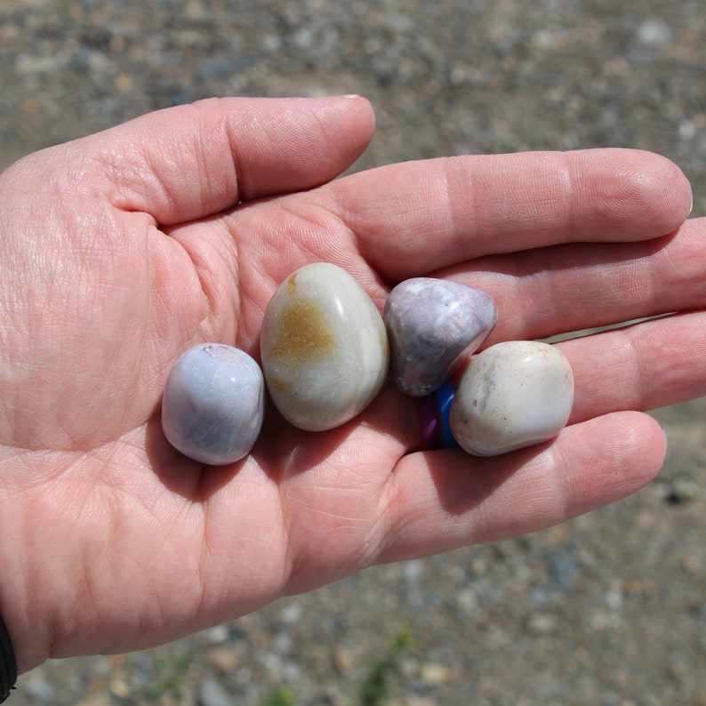 Pu&ograve; includere: Quattro pietre lisce e levigate in varie tonalit&agrave; di grigio, bianco e marrone, con sottili motivi e vortici. Le pietre sono disposte in una mano, mostrando la loro bellezza naturale.