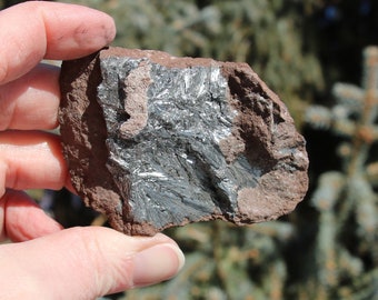 May include: A close-up of a rock with a silvery, metallic mineral embedded in it. The rock is brown and the mineral has a flaky, layered texture.