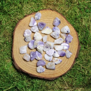 May include: A collection of tumbled gemstones in shades of lavender and white, scattered on a small, round wooden slice. The gemstones have a smooth, polished appearance and vary in size. The wooden slice sits atop a bed of green moss.
