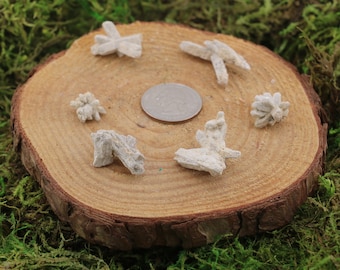 Celestine Single # A-F Set 2