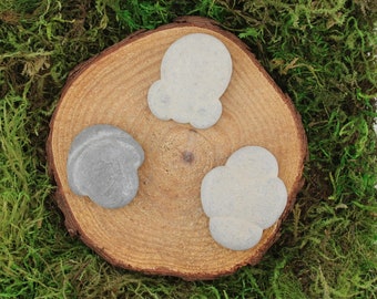 Fairy Stone Concretion Singles #D-F