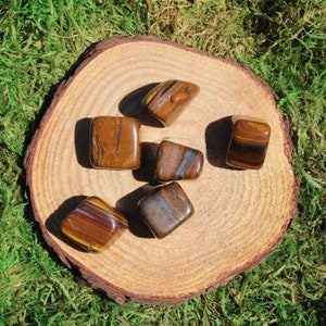 May include: Six tumbled tiger's eye stones in various shades of brown and gold, arranged on a wooden slice.