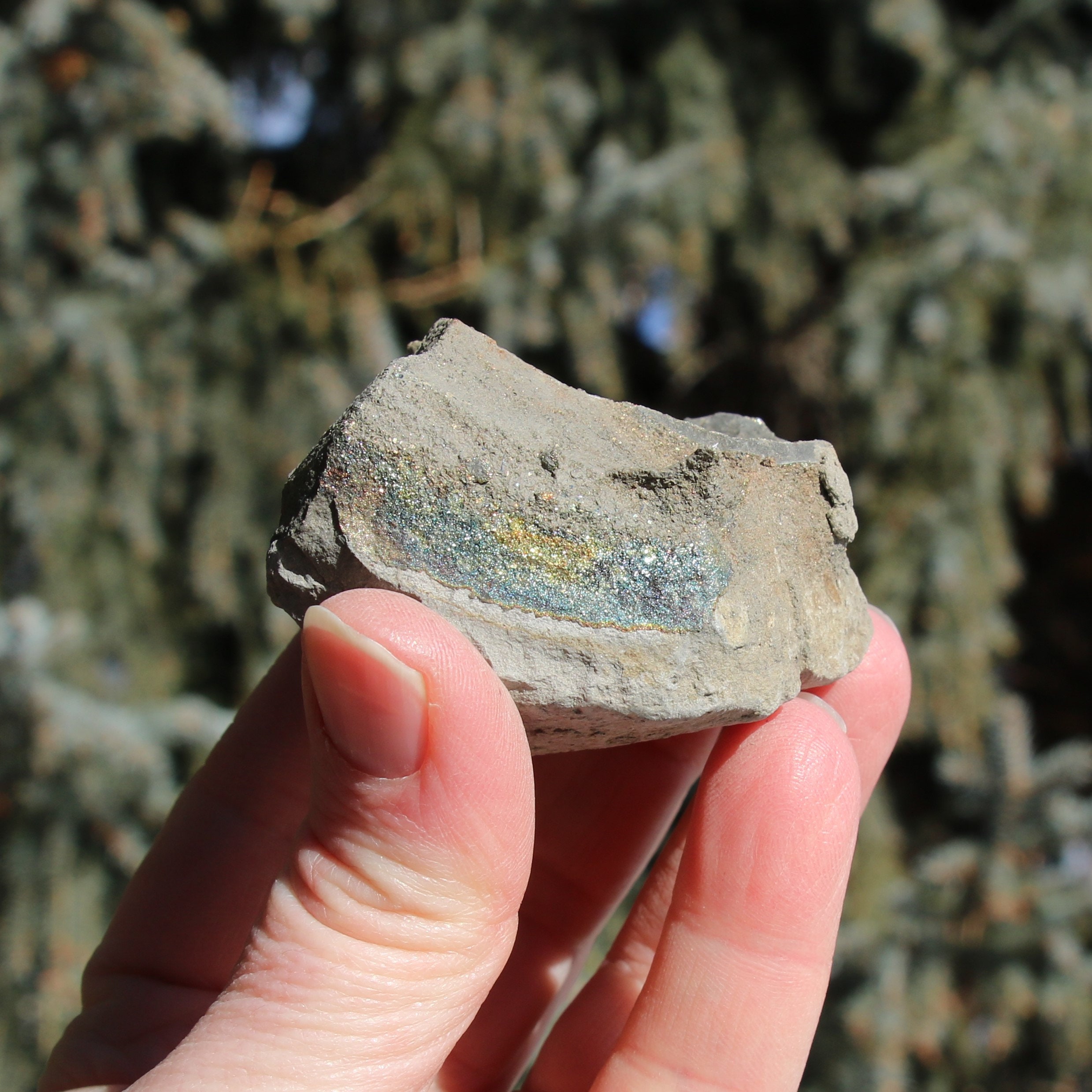 Boji Stone - Etsy