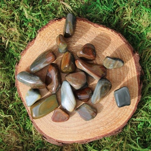 May include: A collection of 15 smooth, polished, multi-colored stones with brown, gray, and white patterns. The stones are arranged on a wooden slice, which is on a bed of green moss.