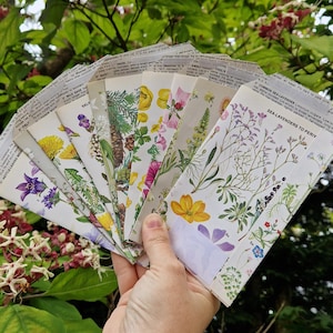 Envelopes de pacote de sementes x10 pacote
