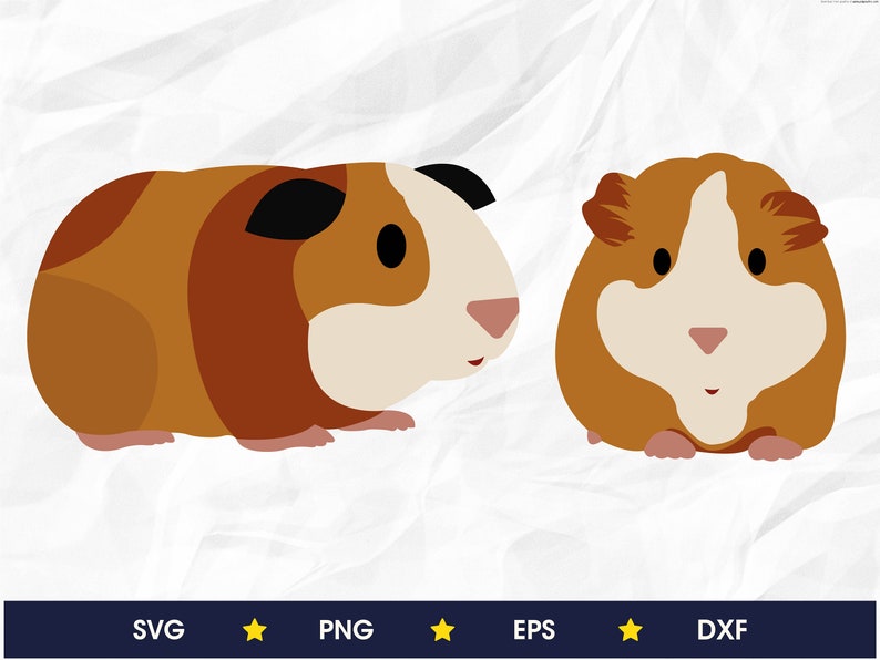 Download Guinea Pig svg png eps dxf | Etsy