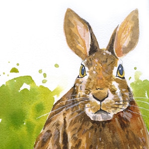 Wild Rabbit, Fine art watercolour animal print