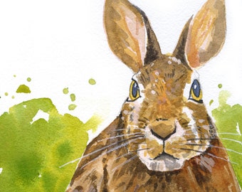 Wild Rabbit, Fine art watercolour animal print