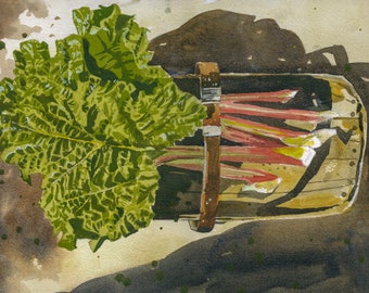 Watercolour print. Still life. Rhubarb harvest in a trug. Fine art print for kitchen. Entryway wall art. Living room wall decor.