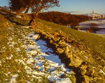 Scenic Cumbria: Hawthorn Trees Fine Art Photographic Print - Winter Wall Decor, Lake District Photography