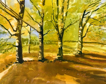 Autumn beech trees. Fine art watercolour print. Woodland painting.