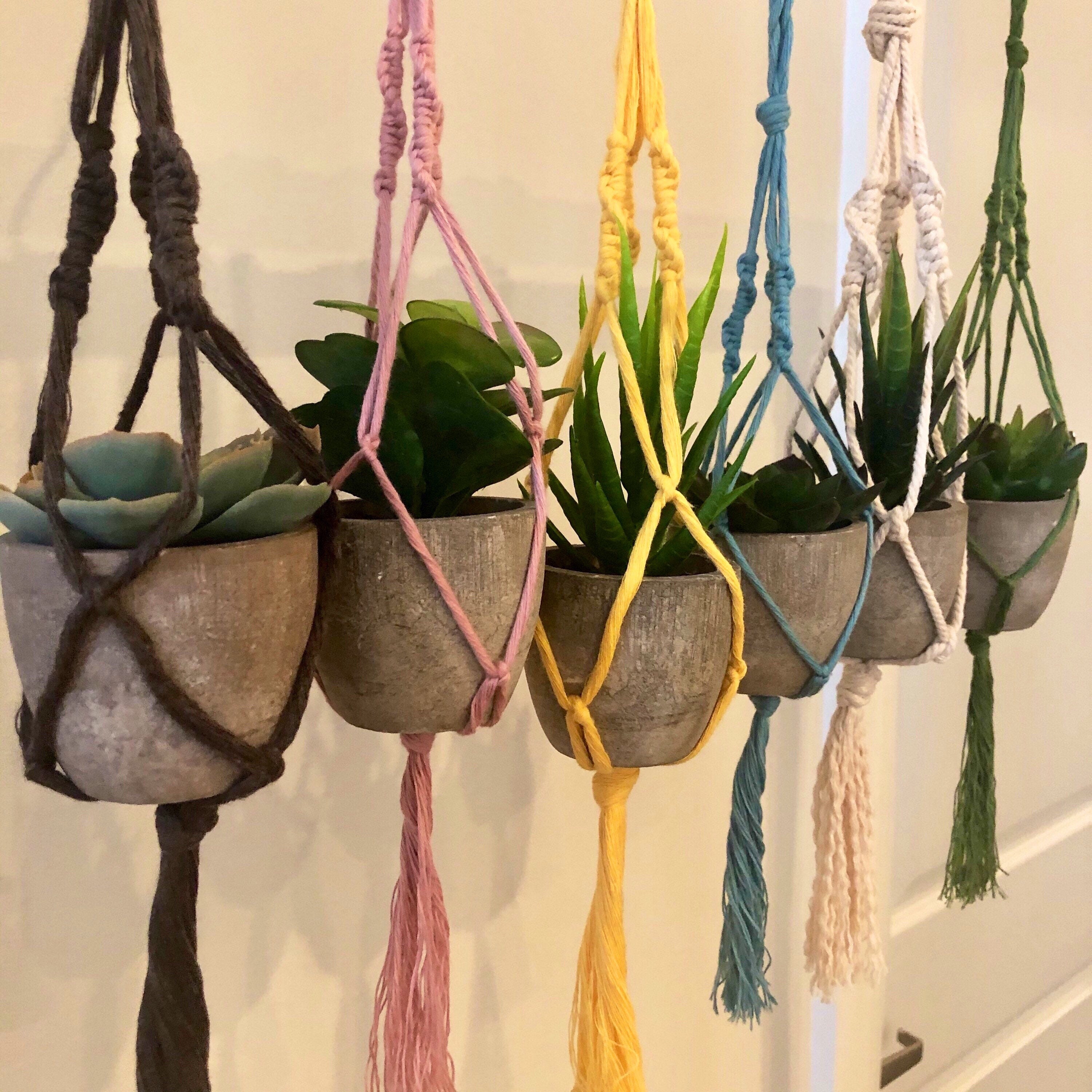 Car Plant Hanger, Mini Macrame Plant 