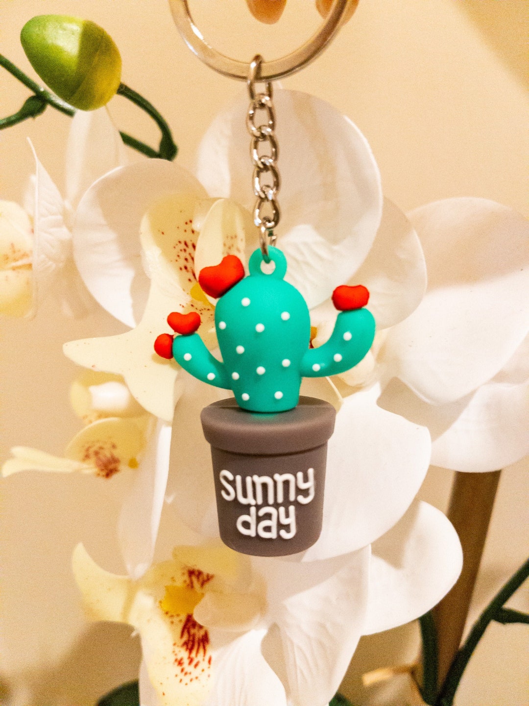 Plant Pet Cactus Keyring Personalised Mini Terrarium Cactus