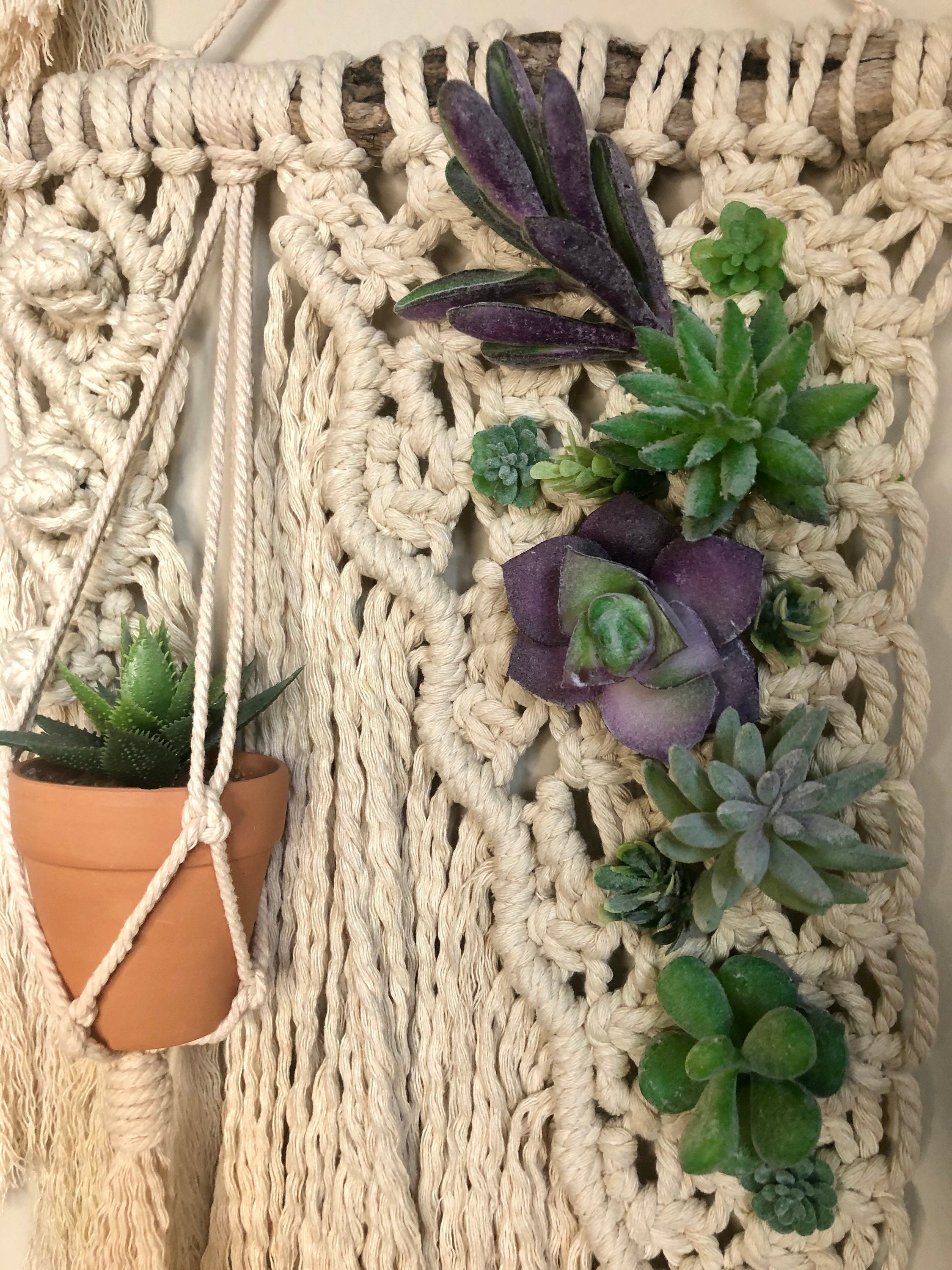 Succulent Sisters Macrame Wall Hangings, Artificial Plant, Succulent