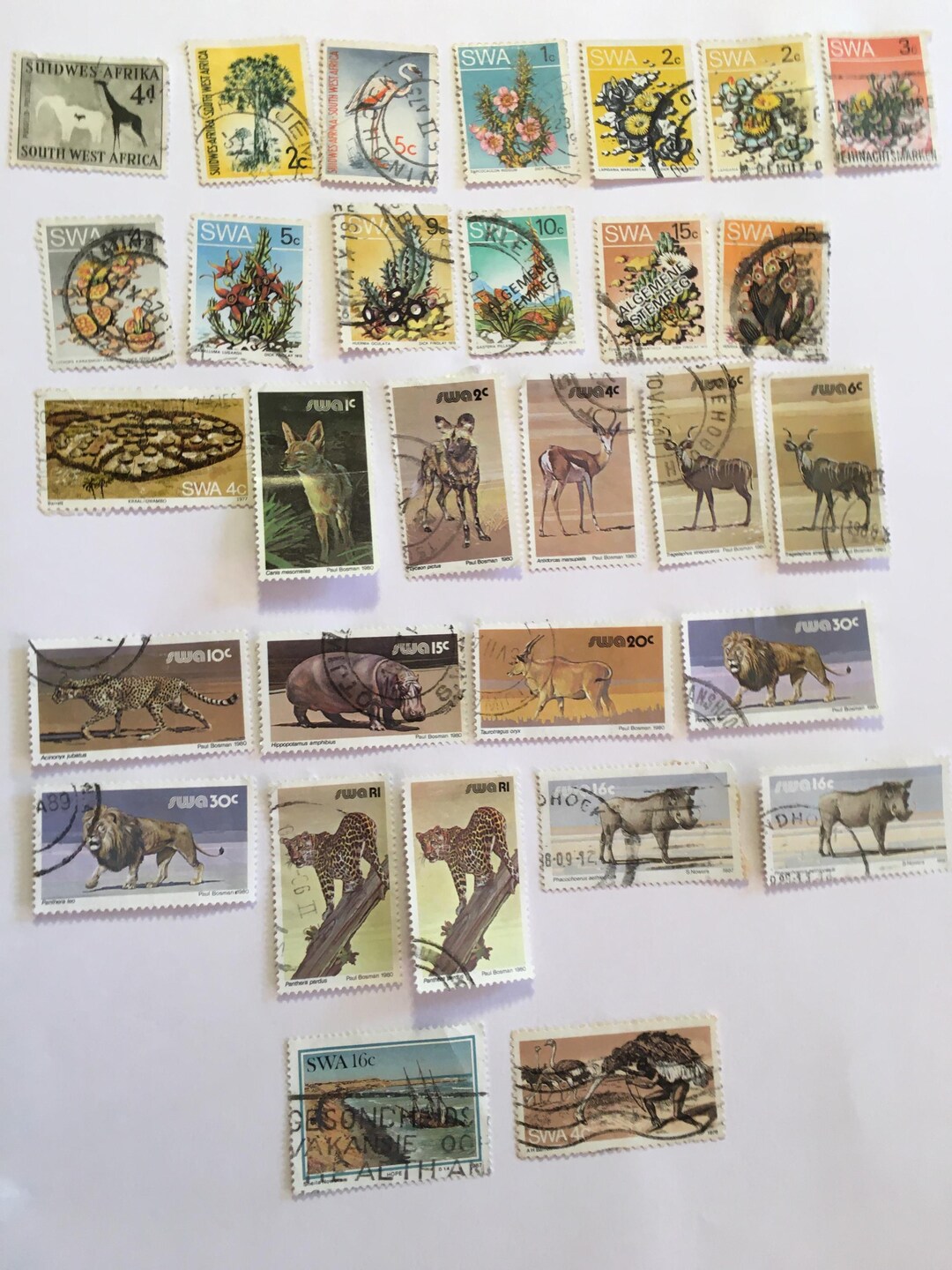 South West Africa Stamps - Etsy