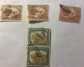 Articolo da questo negozio