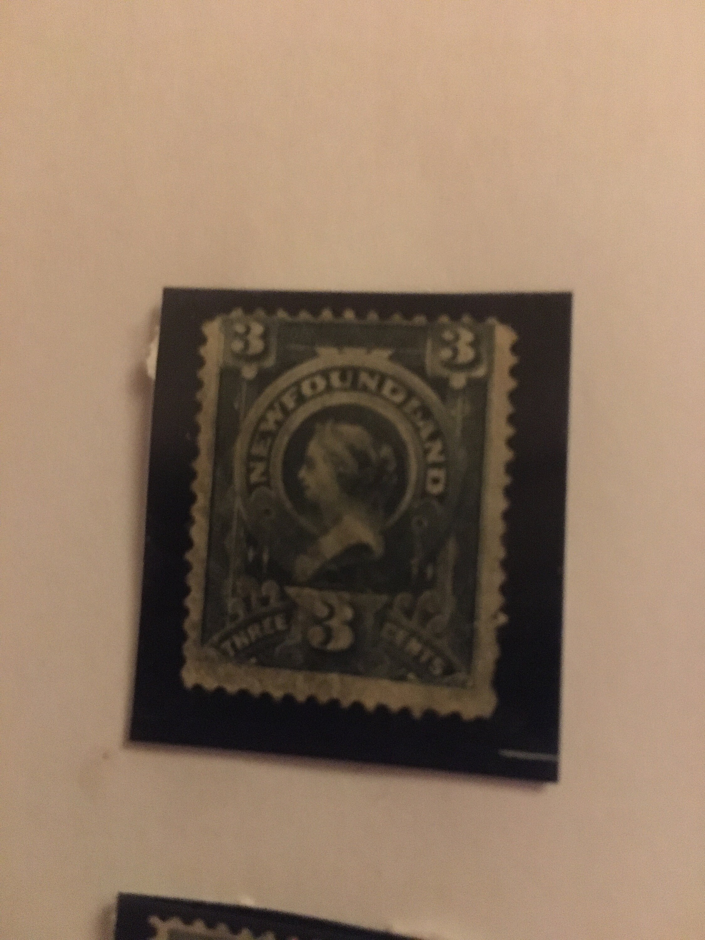 ニューファンドランド切手：使用済みヴィンテージ切手コレクション