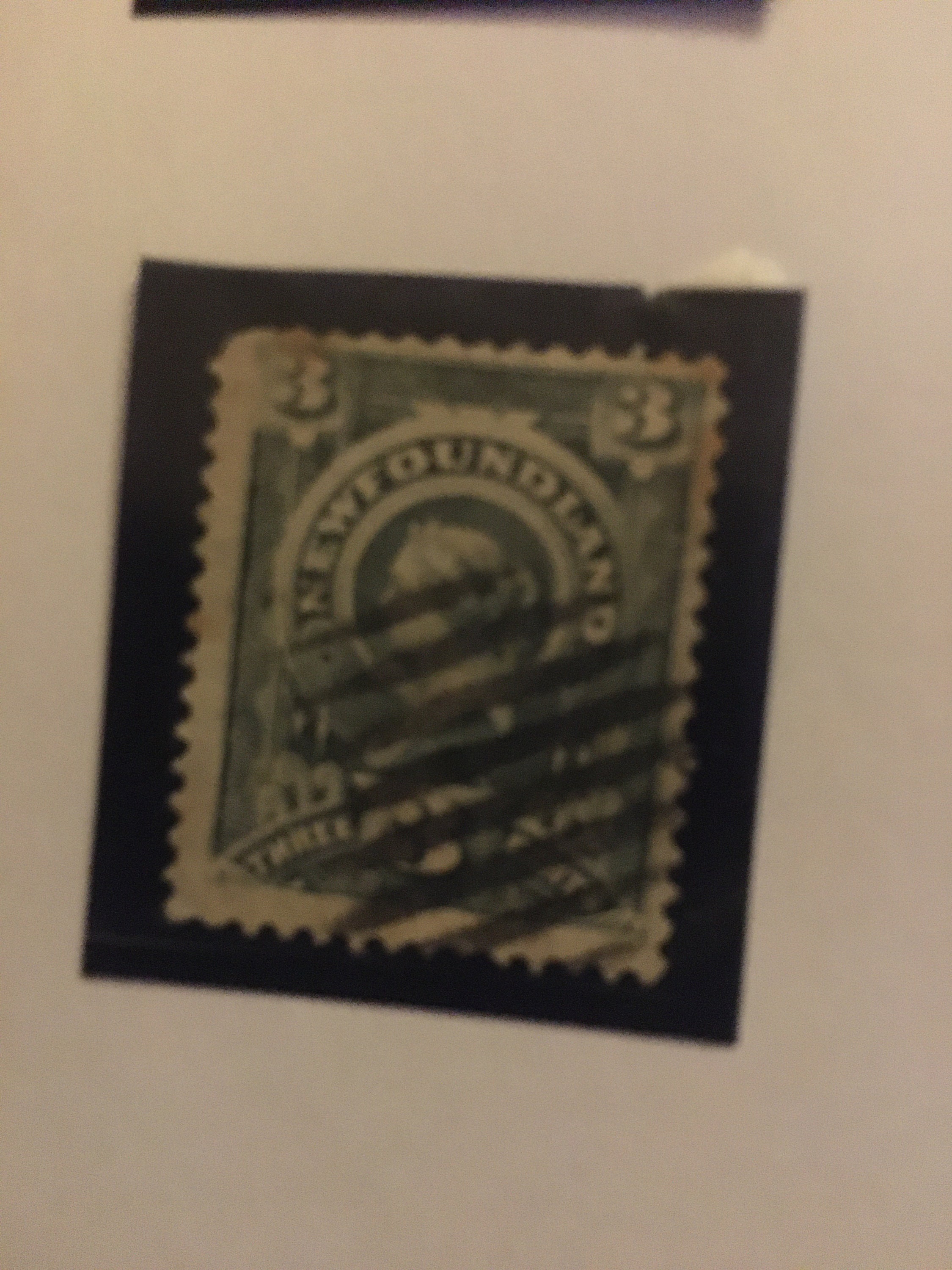 ニューファンドランド切手：使用済みヴィンテージ切手コレクション