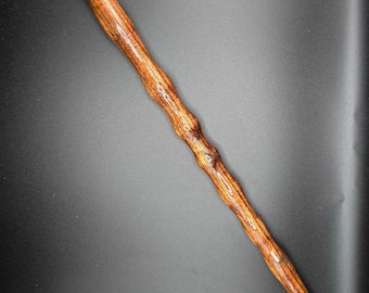 May include: A long, thin, wooden wand with a dark brown and reddish-brown wood grain. The wand has a slightly rounded tip and a smooth, polished finish.