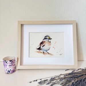 Impresión artística de gorrión cantor: arte de aves en acuarela inspirado en Audubon: ilustración de la naturaleza: arte de estilo rústico imprimible: aves de la ciudad de Nueva York