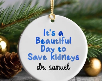 Nephrologist Gift, Doctor Ornament, Nephrologist Ornament, Ceramic Ornaments, Nephrologist Gifts, Gifts for Nephrologist