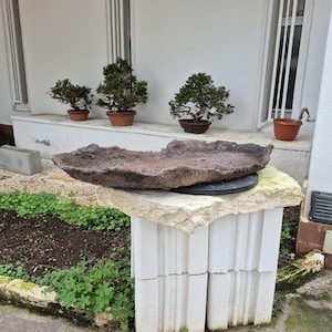 Könnte beinhalten: Ein großer, unregelmäßig geformter, dunkelbrauner, strukturierter Steinpflanzer steht auf einem weißen Betonblockständer. Drei kleine Bonsai-Bäume in braunen Töpfen sind im Hintergrund auf einem Sims angeordnet. Die Szene spielt sich im Freien ab.