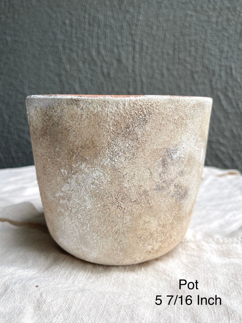 Aged Terracotta Planter Pots Hand Painted Terracotta Pots Etsy