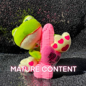 Valentine's Day Frog with Naughty Soap - Gag Gift - Gift for Her - Gift for Him - Gift for Them - Adult Valentine’s Day Gift