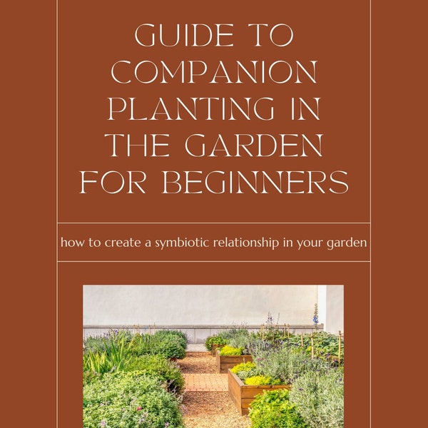 A Guide to Companion Planting in the Garden for Beginners EBook