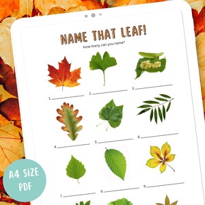 May include: A digital worksheet titled "NAME THAT LEAF!" featuring nine different leaf illustrations with numbered blanks for identification. The worksheet is displayed on a tablet, with a green circle that says "A4 SIZE PDF".