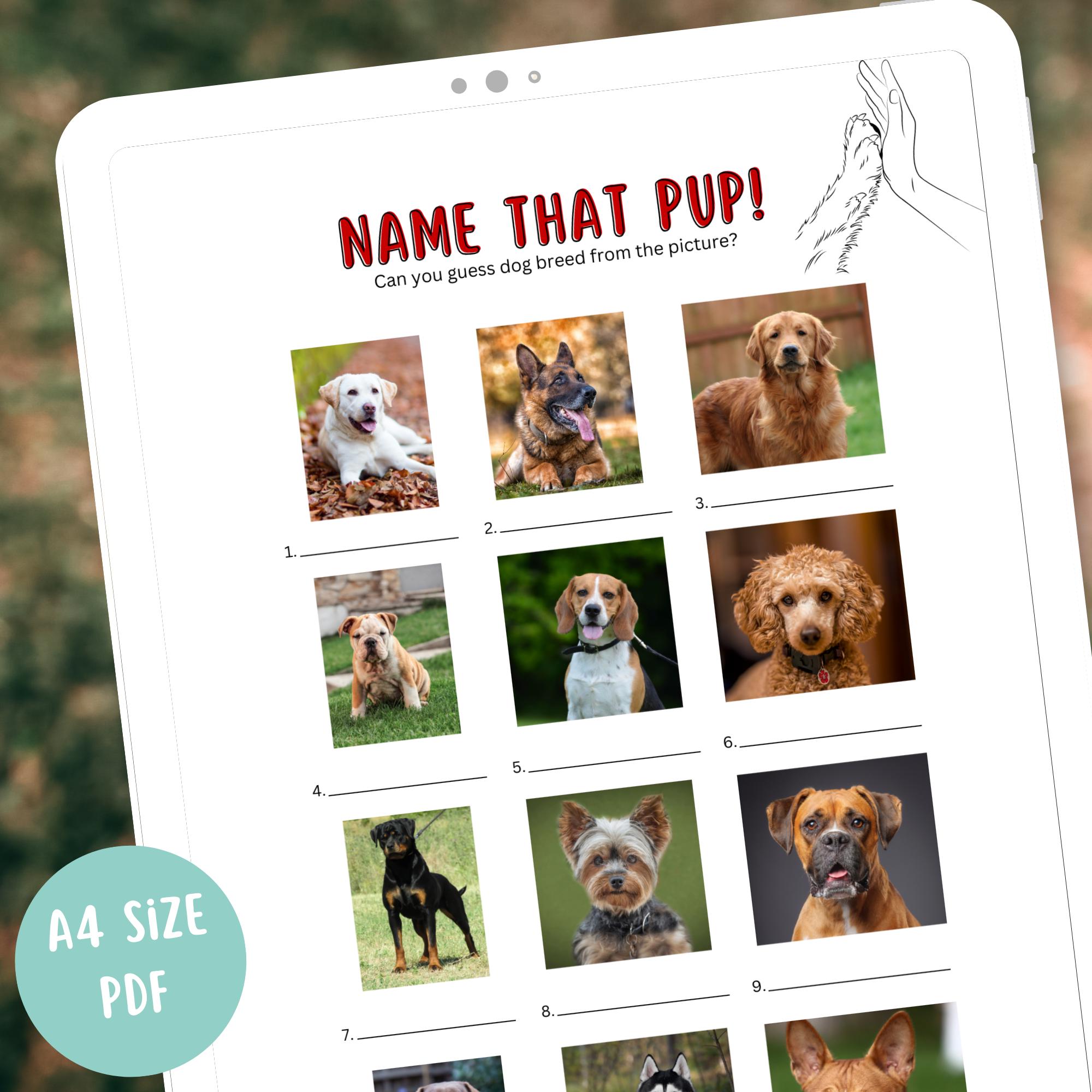 Best Dog Comprehensive Dog Breed Selector Best Dog Dog Breed Match