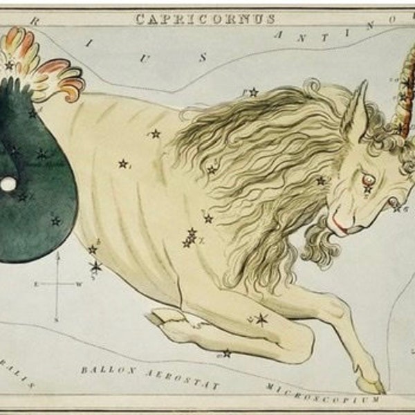 Capricornus Constellation Engraving Sidney Hall (1825) High Resolution print for digital download, zodiac sign print Capricorn