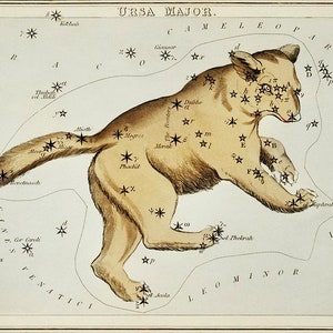 Ursa Major Constellation Engraving Sidney Hall (1825) High Resolution file for digital download, Great Bear, Big Dipper print