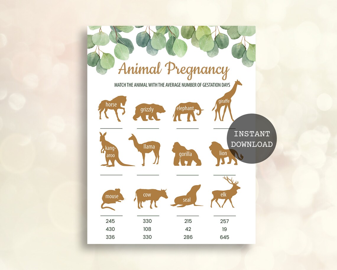 Animal Pregnancy Game Animal Gestation Game Greenery Baby - Etsy