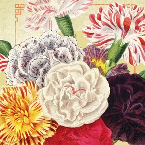 Op de afbeelding: Vintage botanische illustratie van een anjersboeket. De bloemen zijn in tinten rood, wit, geel en paars, met gedetailleerde bloemblaadjespatronen. De achtergrond is lichtgeel met een decoratieve rand.