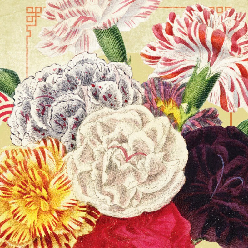 Op de afbeelding: Vintage botanische illustratie van een anjersboeket. De bloemen zijn in tinten rood, wit, geel en paars, met gedetailleerde bloemblaadjespatronen. De achtergrond is lichtgeel met een decoratieve rand.