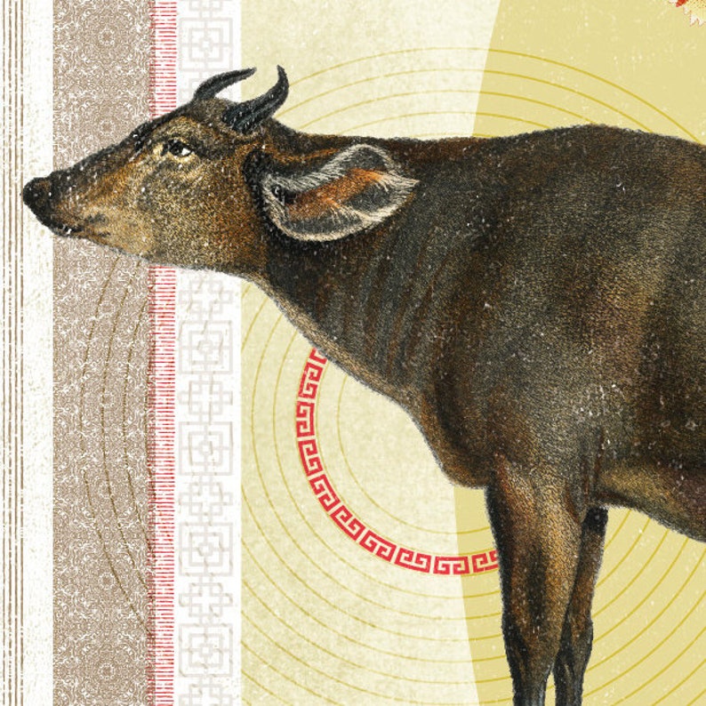 Op de afbeelding: Vintage illustratie van een donkerbruine waterbuffel met kleine hoorns, tegen een achtergrond met patronen. Het kunstwerk heeft een cirkelvormig rood en geel designelement, in retrostijl.