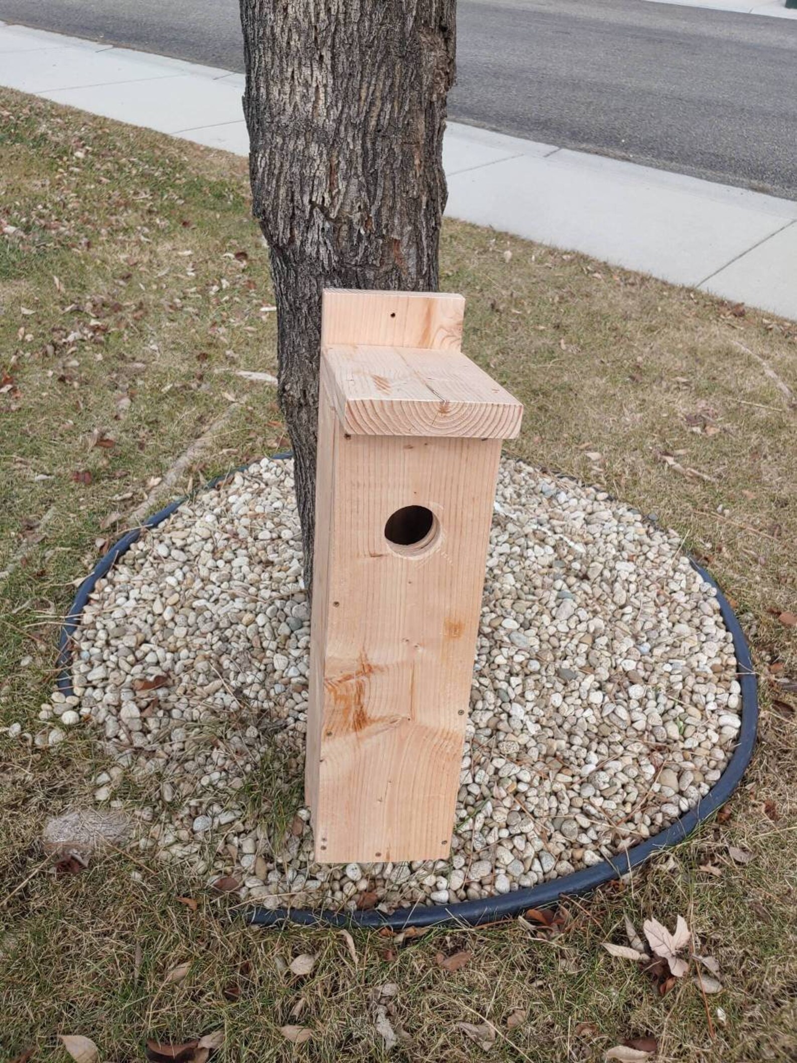 Common Woodpecker Flicker Bird House Customized Back mount Etsy
