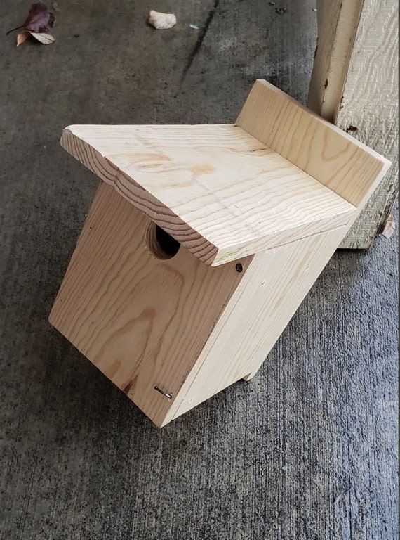 Best Dimensions For Birdhouse Entrance Holes